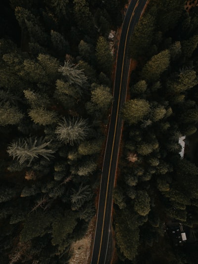 鸟瞰的公路道路
